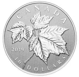 2019 Canada $10 Fine Silver Coin Maple Leaves Red Maple - NumisFind