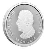 Canadian Goose 2025 Canada 2oz .9999 Pure Silver Bullion $10 Coin3