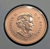 RARE - Canada 1 Cent 2010 Magnetic Specimen Penny SP Perfect Condition1