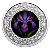  Canada $3 Pure Silver Coloured Coin, Blue Iris - Floral Quebec emblem, 20201