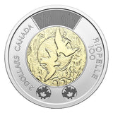 2023 Canada Jean Paul Riopelle set of 2 Roll of 25 x $2 coins in special wrap2