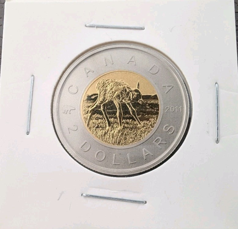 2011 Canada $2 Toonie Specimen – Elk Calves Design | Royal Canadian Mint Set Iss0