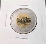 2011 Canada $2 Toonie Specimen – Elk Calves Design | Royal Canadian Mint Set Iss0