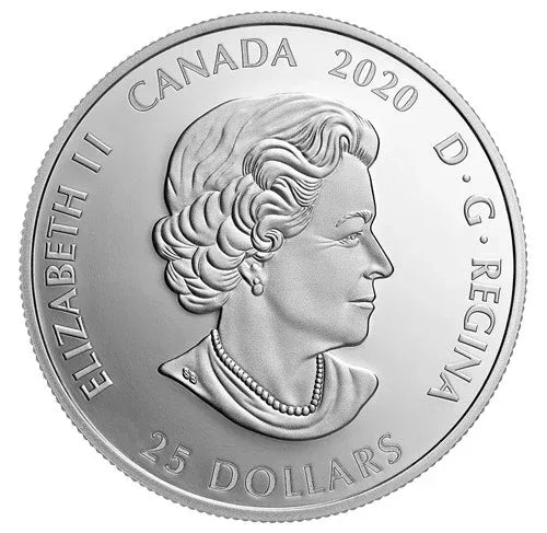 2020 Canada TORONTO RAPTORS 25th SEASON PURE SILVER Oz. - Official NBA Product - NumisFind