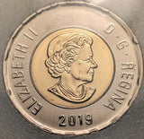 **MS-62** 2$ 2019 Toonie Graded KSA - PERFECT CONDITION3