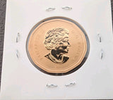2011 Canada $1 Loonie Specimen Coin - Brilliant Satin Finish - From Mint Set1