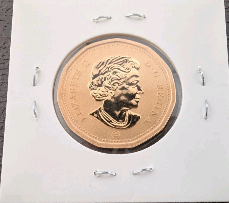 2011 Canada $1 Loonie Specimen Coin - Brilliant Satin Finish - From Mint Set1