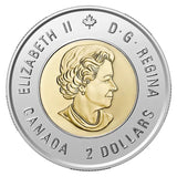 Canada 2020 WWII Victory 75th Coloured BU UNC Toonie from a Roll!!1
