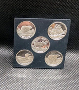 CANADA 5x1 GRAM .999 FINE SILVER ROUND SILVER MAPLES 5 Different Designs - NumisFind