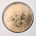 2006 Canada $1 Loonie Specimen Snowy Owl Bird Coin RCM0