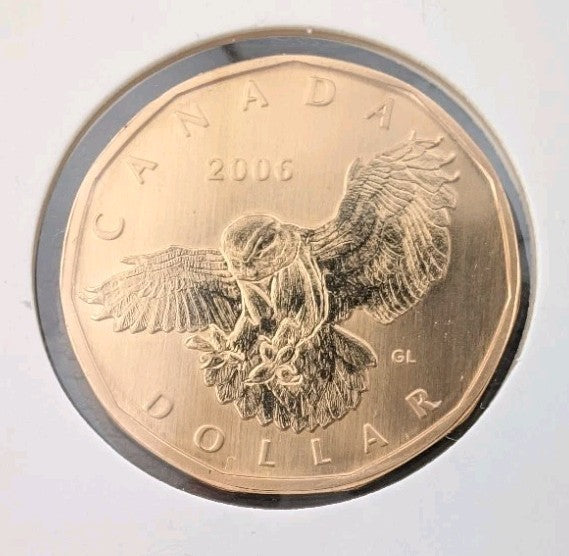 2006 Canada $1 Loonie Specimen Snowy Owl Bird Coin RCM0