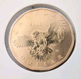 2006 Canada $1 Loonie Specimen Snowy Owl Bird Coin RCM0