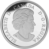 2015 $20 The Great Lakes: Lake Huron - Pure Silver Coin - NumisFind