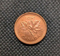 AU/Unc 2010 Canada Penny Small 1 Cent Beautiful0