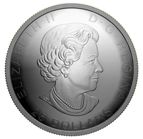 125th Anniversary of the Klondike Gold Rush: Panning for Gold - 1oz Pure Silver 2