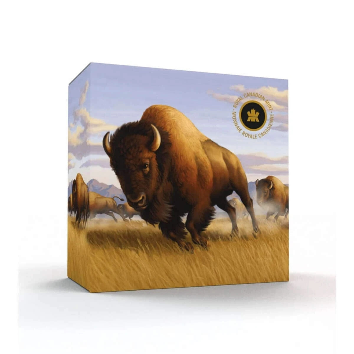 2013 Canada Bison Stampede $100 for $100 1 oz .9999 Pure Silver Coin – RCM3
