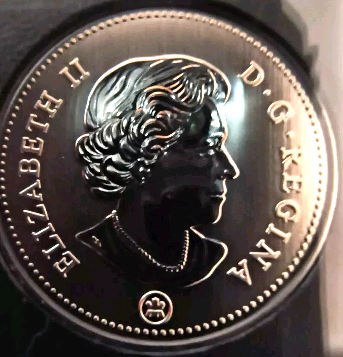 2021 CANADA ENDANGERED SPECIES BLANDING'S TURTLE COIN SPECIMEN SET - NumisFind