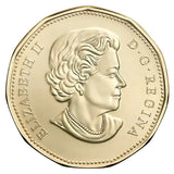 Canada 2019 Equality Loonie BU UNC Uncirculated From a Mint Roll!! - NumisFind