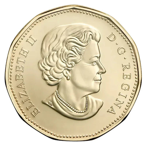 Canada 2019 Equality Loonie BU UNC Uncirculated From a Mint Roll!! - NumisFind