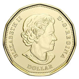 2020 Canada $1 Loonie 75th anniversary of UN Charter COLOURED from roll - NumisFind