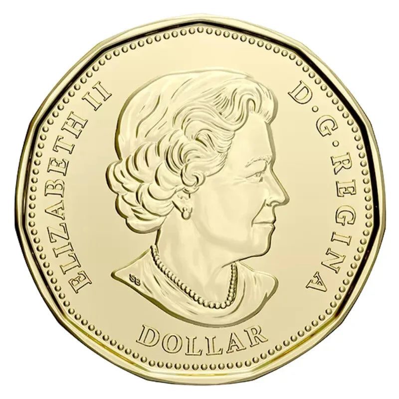 2020 Canada $1 Loonie 75th anniversary of UN Charter COLOURED from roll - NumisFind