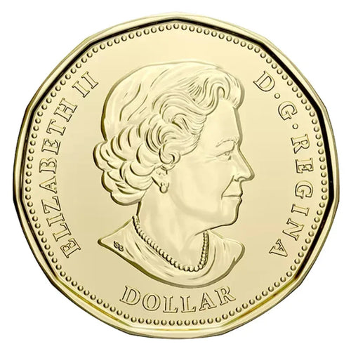 2020 Canada $1 Loonie 75th anniversary of UN Charter COLOURED from roll - NumisFind