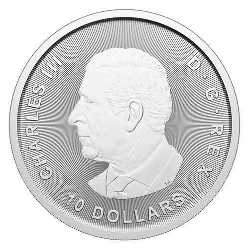 Canadian Goose 2025 Canada 2oz .9999 Pure Silver Bullion $10 Coin1
