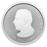 Canadian Goose 2025 Canada 2oz .9999 Pure Silver Bullion $10 Coin1