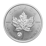 2025 Treasured Silver Maple Leaf 1oz .9999 - Fireworks Privy - NumisFind