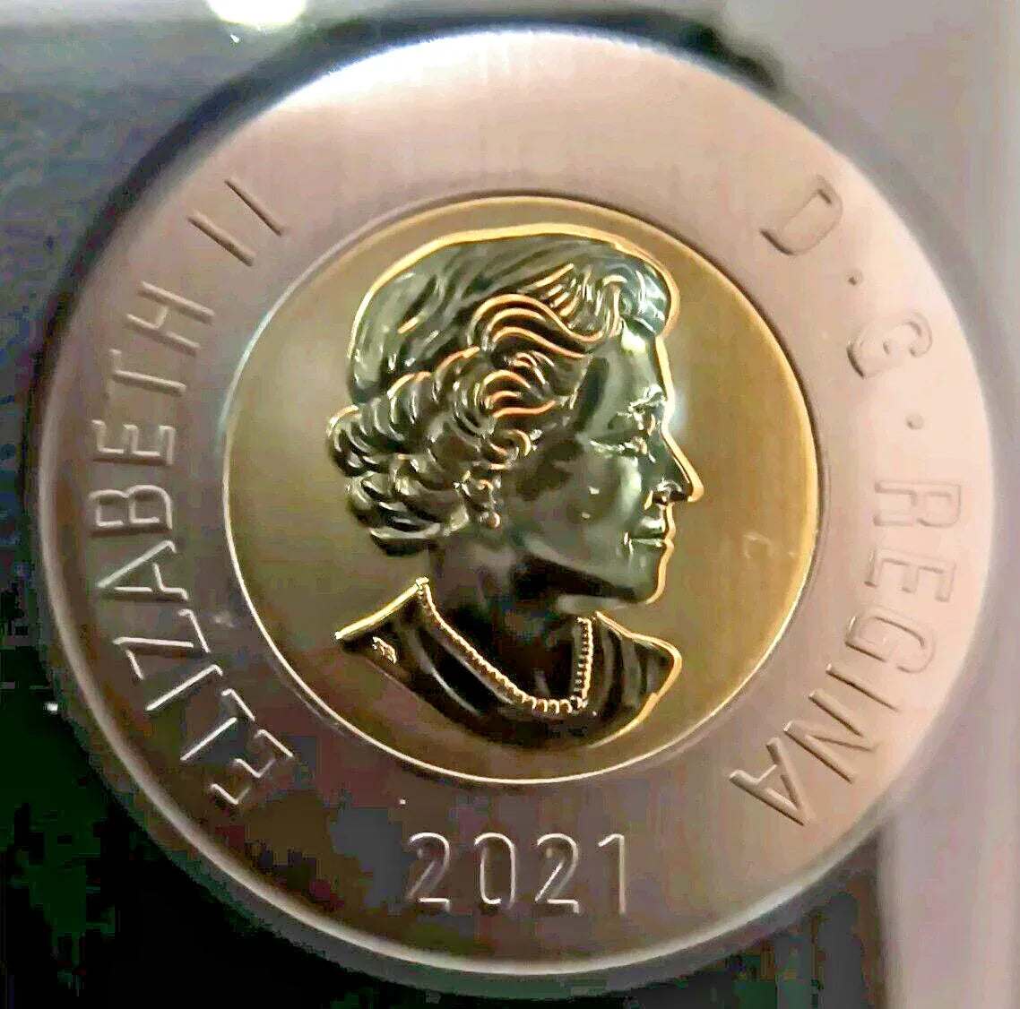 2021 CANADA ENDANGERED SPECIES BLANDING'S TURTLE COIN SPECIMEN SET - NumisFind
