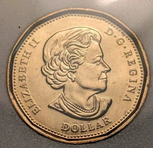 **MS-63** 2021 Coloured Klondike Loonie Graded KSA - PERFECT CONDITION - NumisFind