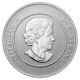 CANADA 2014 CANADA GOOSE $20 For $20 PURE SILVER COIN .9999 1