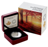 2019 Canada $10 Fine Silver Coin Maple Leaves Red Maple0