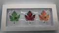Leaves of Color Trio • 2025 3‑Leaf Shaped Stacker • .999 Silver • 1.5 g Each - NumisFind