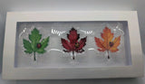 Leaves of Color Trio • 2025 3‑Leaf Shaped Stacker • .999 Silver • 1.5 g Each - NumisFind