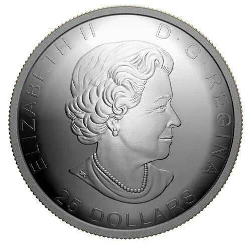 125th Anniversary of the Klondike Gold Rush: Panning for Gold - 1oz Pure Silver - NumisFind