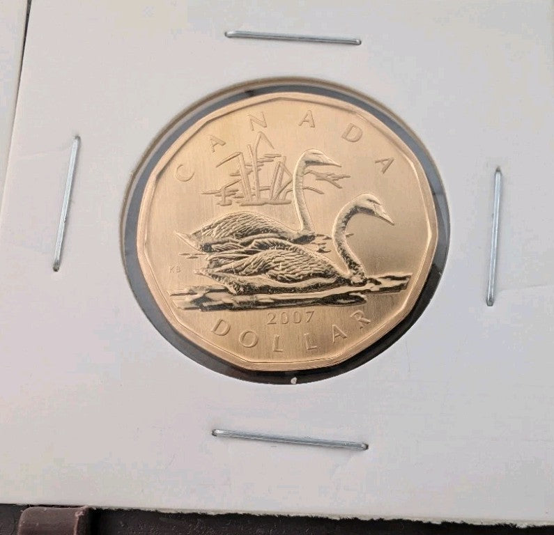 2007 Canada $1 Loonie Specimen Trumpeter Swan Bird Coin RCM0