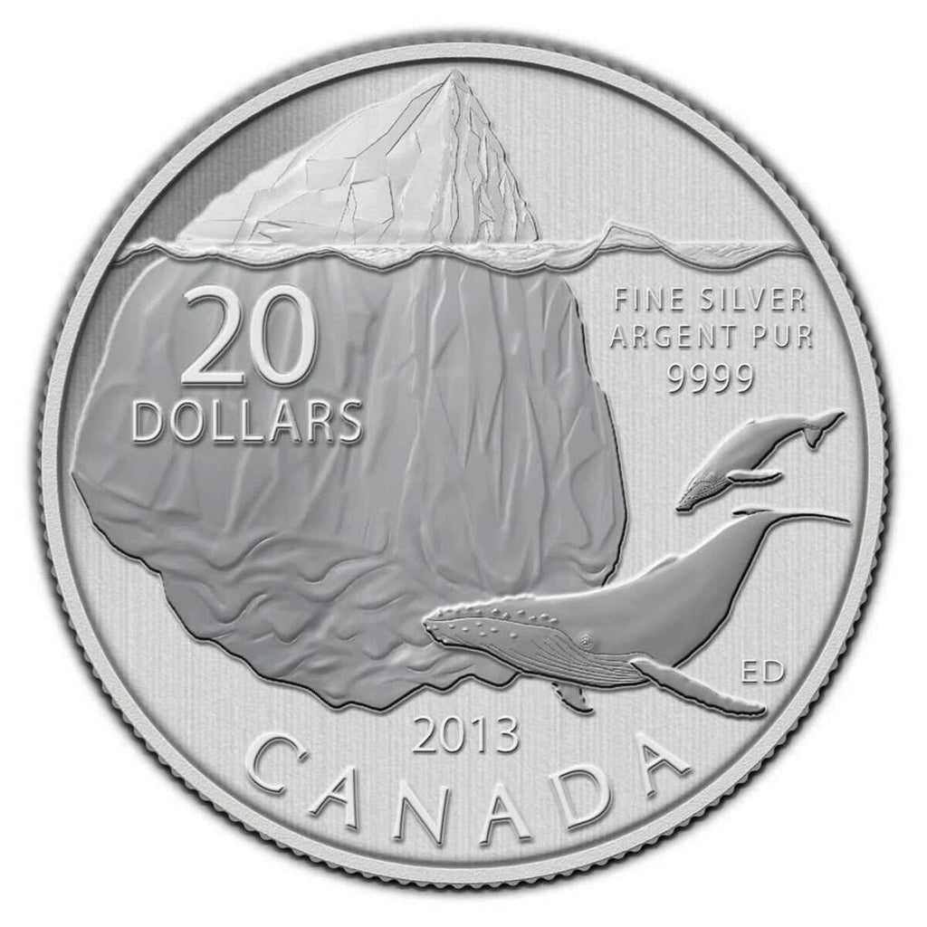 2013 $20 for $20 Iceberg and Whale - Pure Silver Coin0