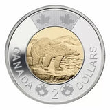 2012 Canada New Generation Security Toonie Two Dollar Coin. $2 UNC. Mint Toon - NumisFind