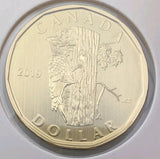 2019 Canada $1 Loonie Specimen Frosted Finish from set - Pileated Woodpecker0