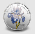 2013 Canada $20 FINE SILVER COIN - Iris Versicolor - Blue Flag Iris0