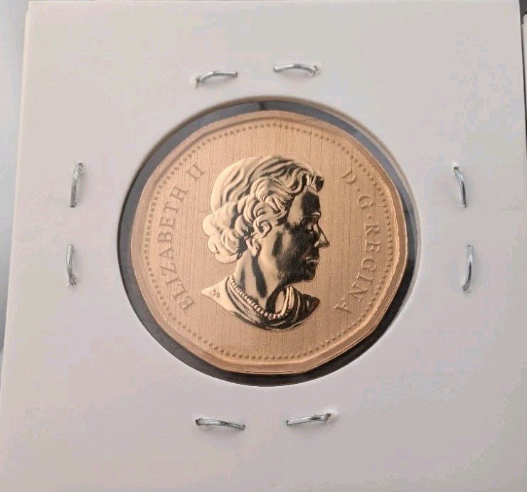 2010 Canada Loonie $1 Specimen Northern Harrier Bird Coin BU RCM1