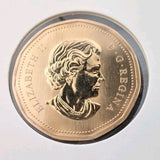 2006 Canada $1 Loonie Specimen Snowy Owl Bird Coin RCM1