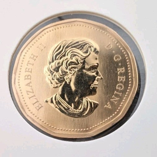 2006 Canada $1 Loonie Specimen Snowy Owl Bird Coin RCM1