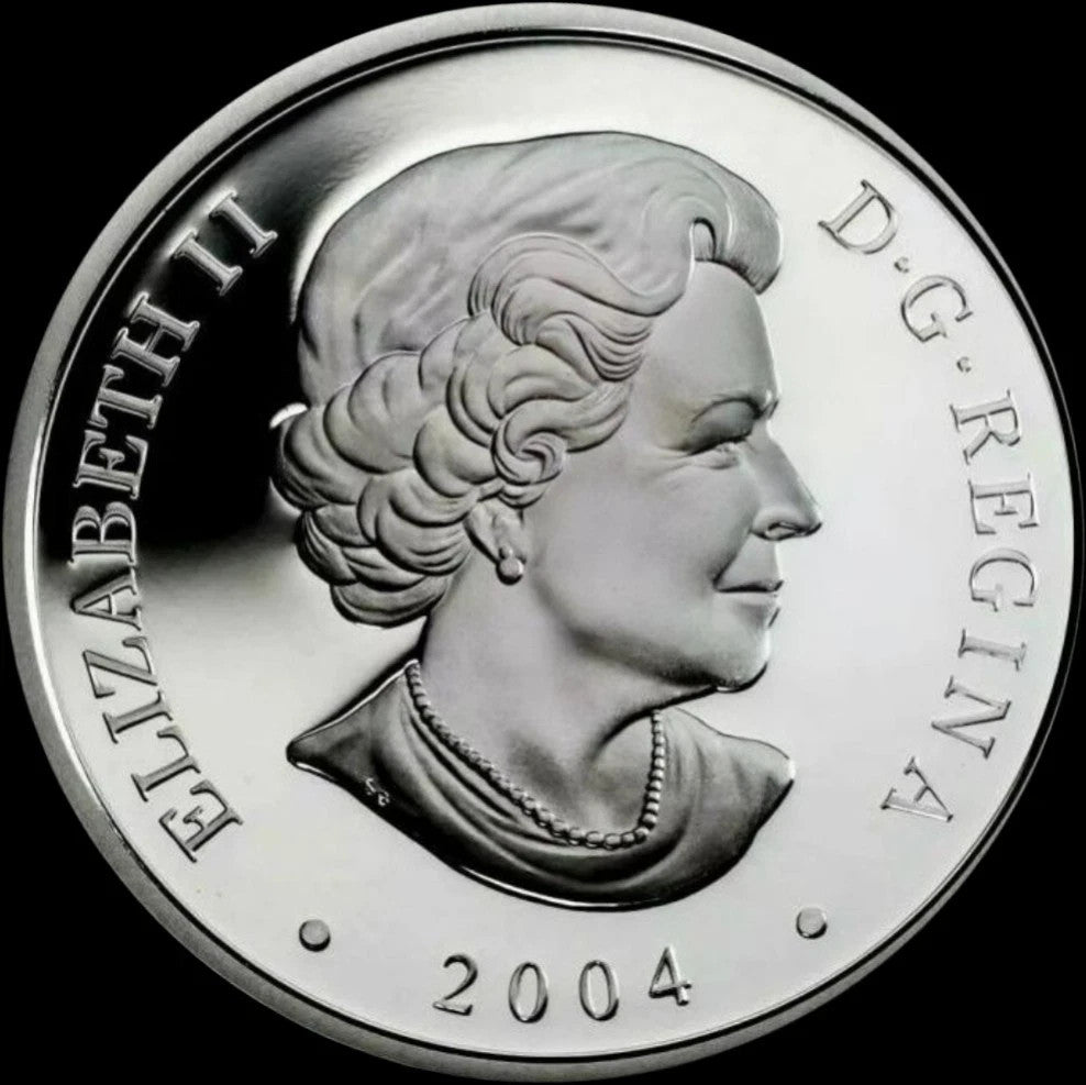 Coin Only! 2004 Canada $20 Natural Wonders Hopewell Rocks Fine Silver Coin .99991
