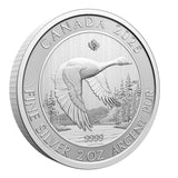 Canadian Goose 2025 Canada 2oz .9999 Pure Silver Bullion $10 Coin2