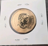2007 Canada $1 Loonie Specimen Trumpeter Swan Bird Coin RCM1