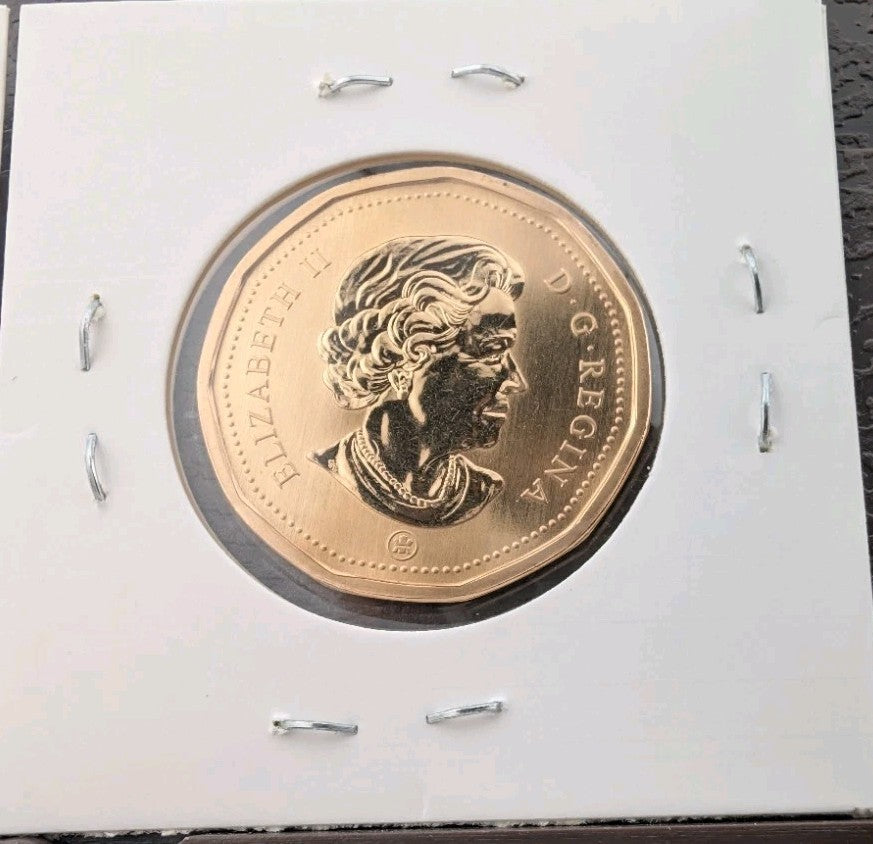 2007 Canada $1 Loonie Specimen Trumpeter Swan Bird Coin RCM1