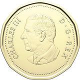 2024 Canada  1$ One Dollar - '' Happy Birthday '' - PL - LOONIE1