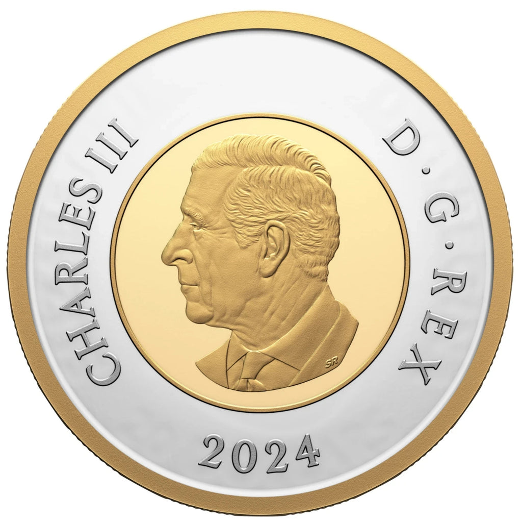 2024 100th Anniversary of the Royal Canadian Air Force Pure Silver Proof Set4